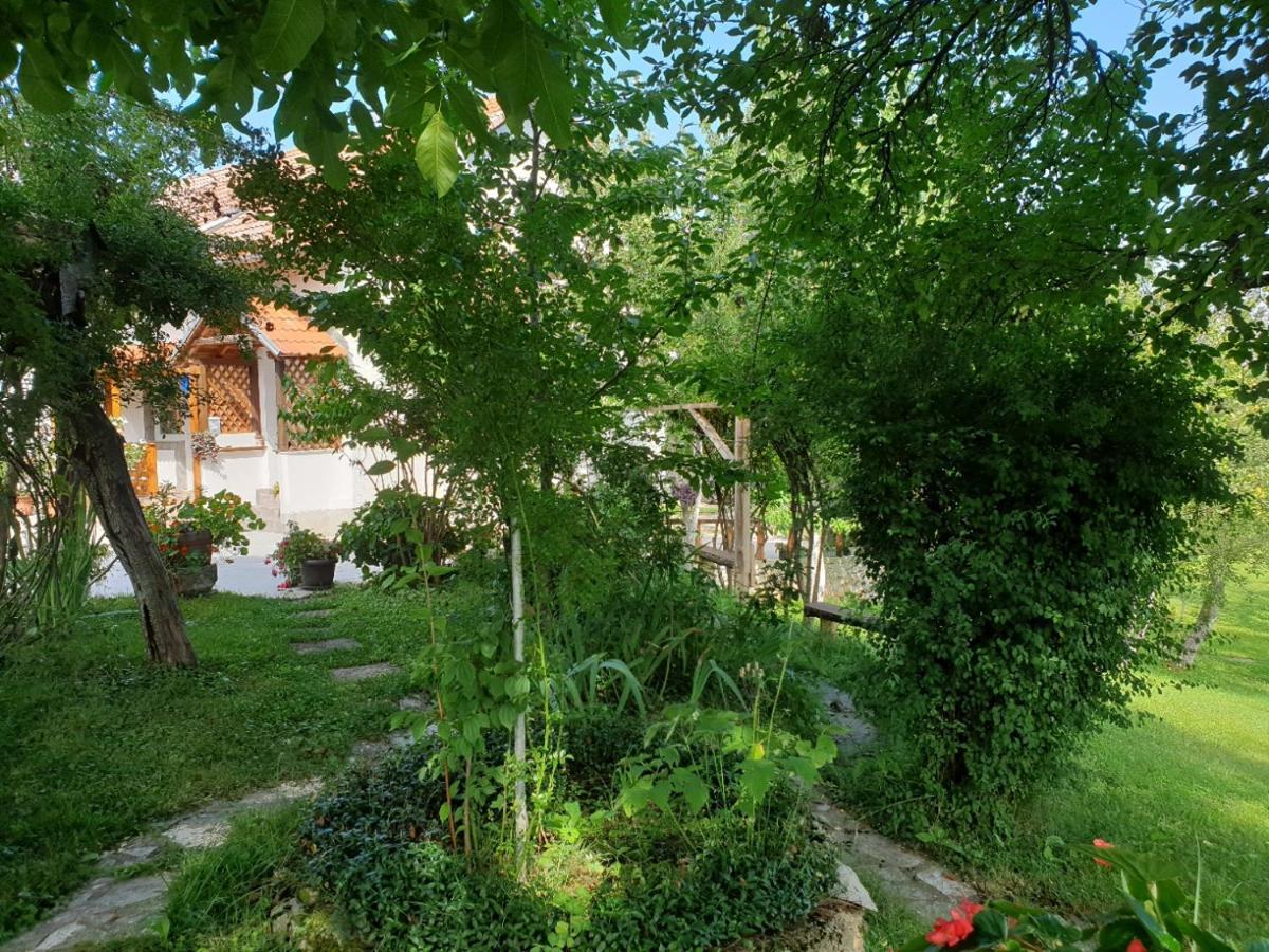 Apartment Liso Seliste Dreznicko Exterior photo