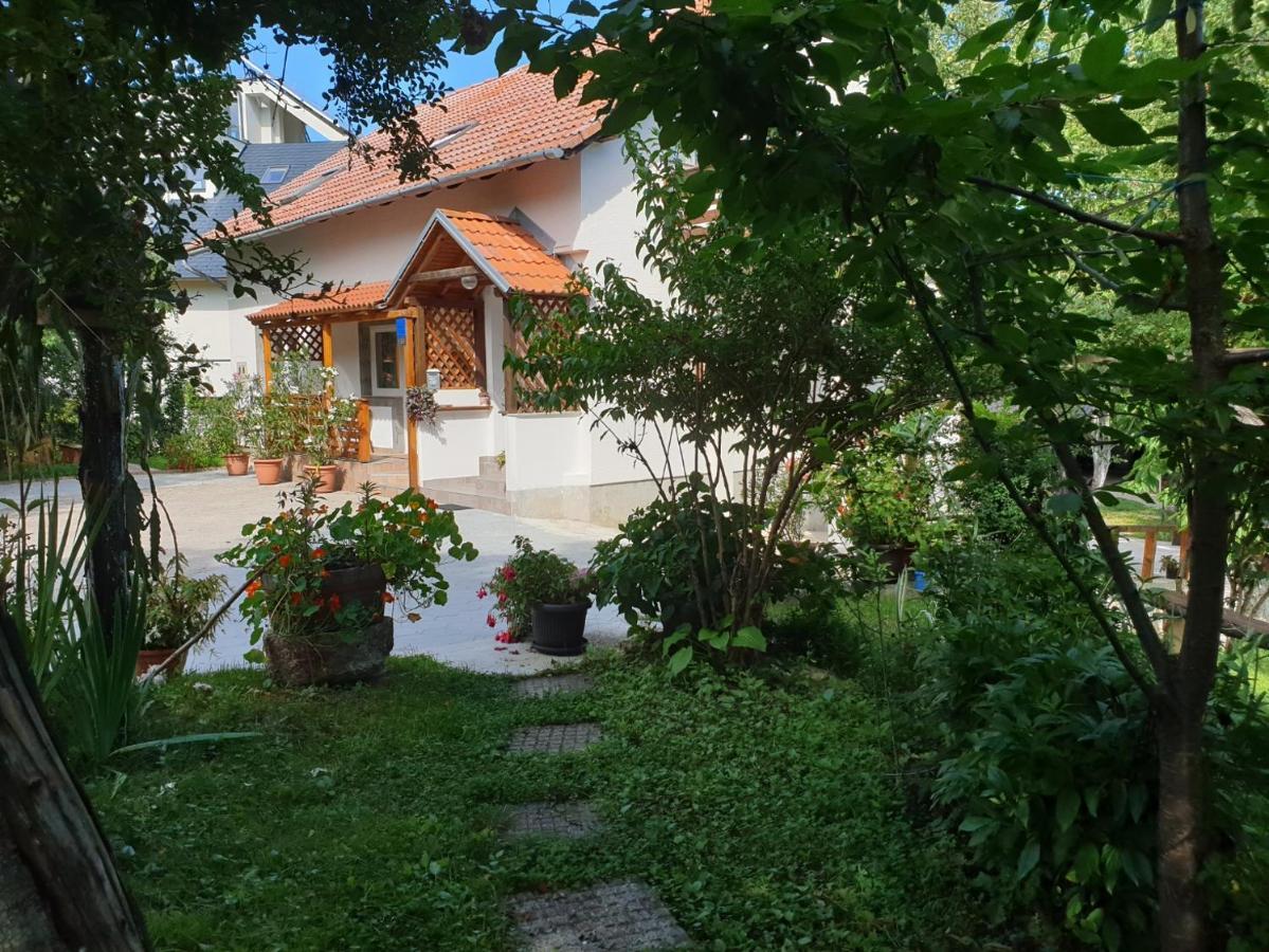 Apartment Liso Seliste Dreznicko Exterior photo
