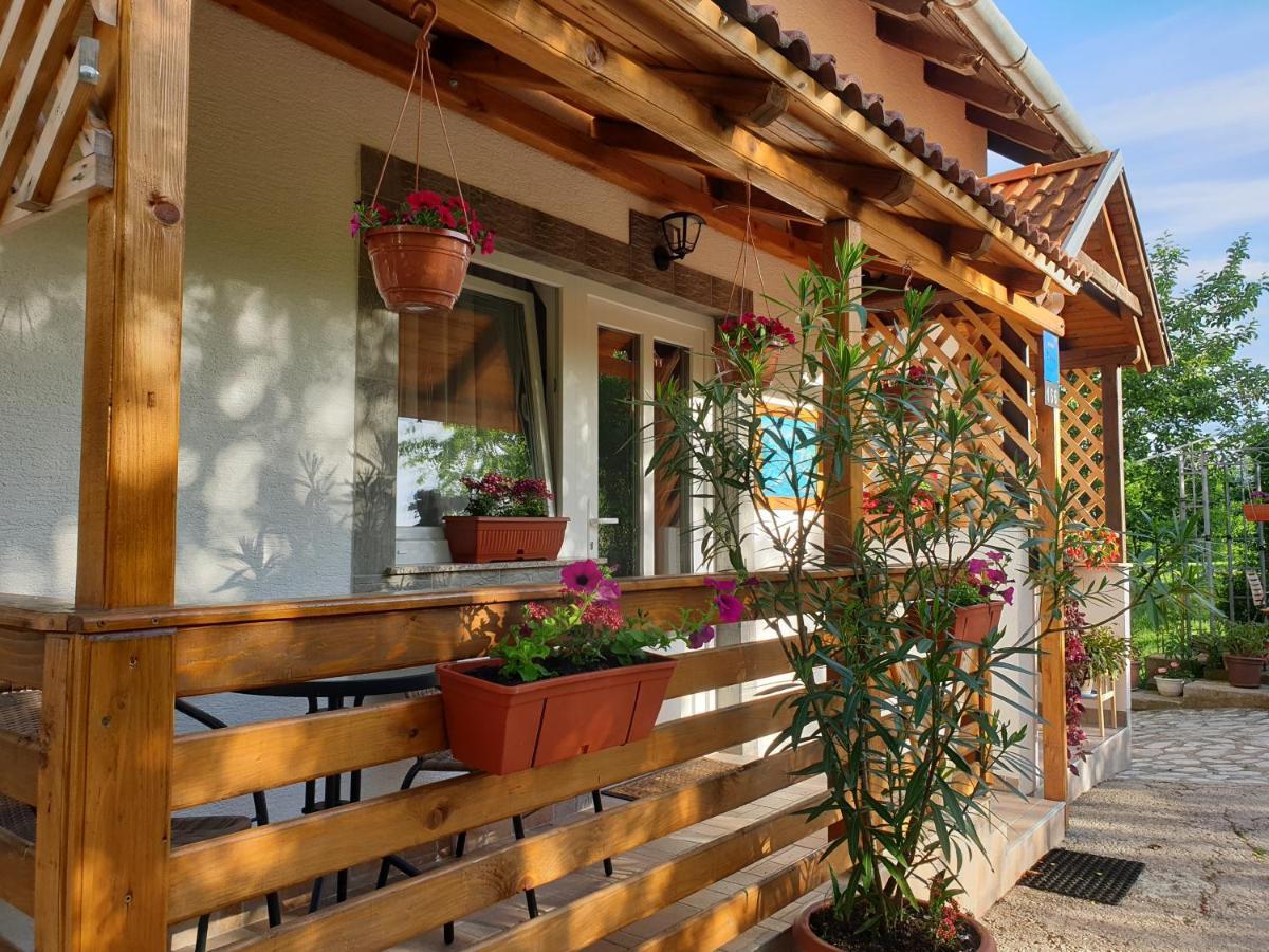 Apartment Liso Seliste Dreznicko Exterior photo